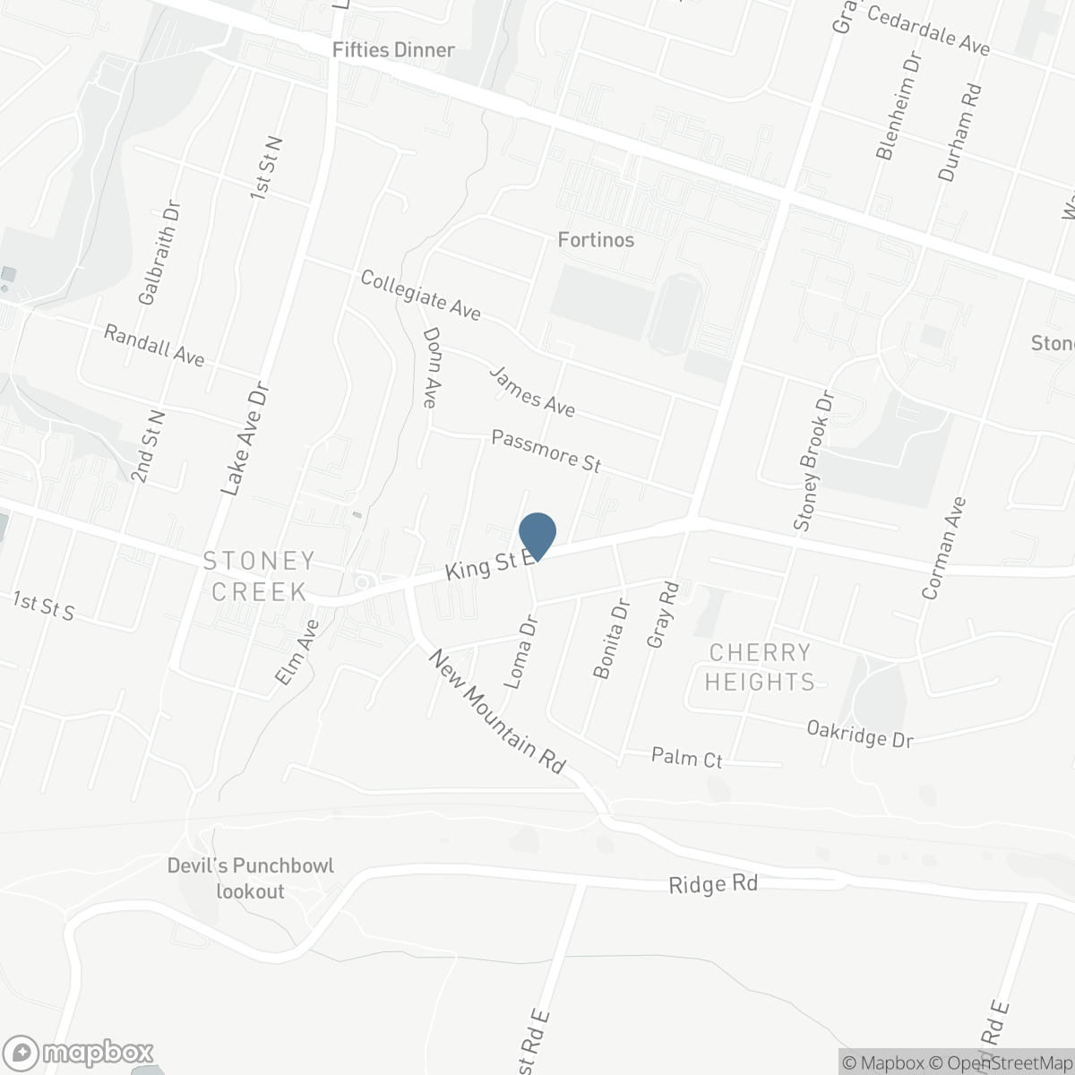 115 KING STREET E, Hamilton, Ontario L8G 1L2